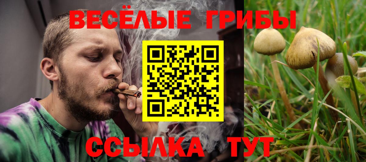 где можно купить наркотик  Вход с VPN  Фурманов  Псилоцибиновые грибы мицелий 