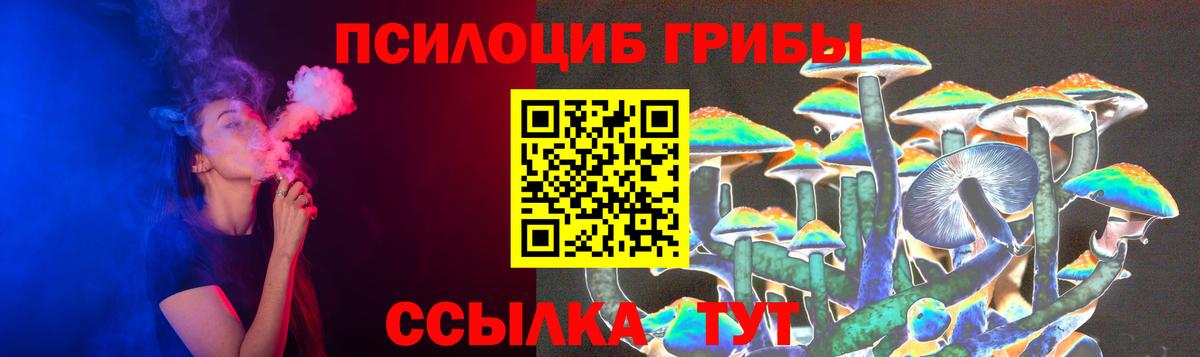 Псилоцибиновые грибы Psilocybe Фурманов
